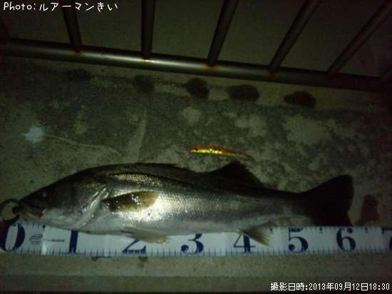 �����Х�