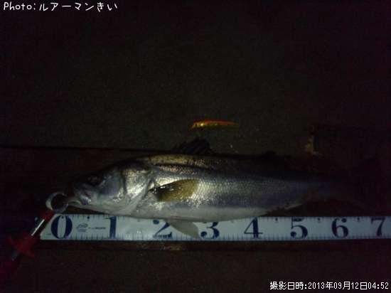 �����Х�