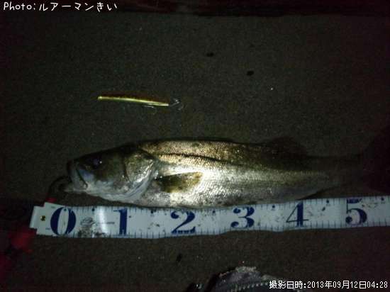 �����Х�