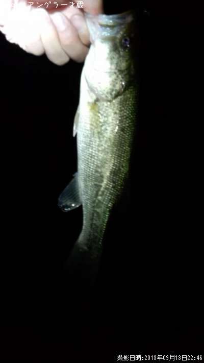 �֥�å��Х�