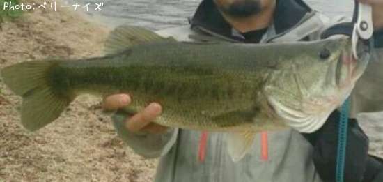 �֥�å��Х�