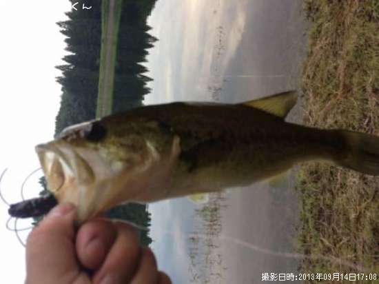 �֥�å��Х�