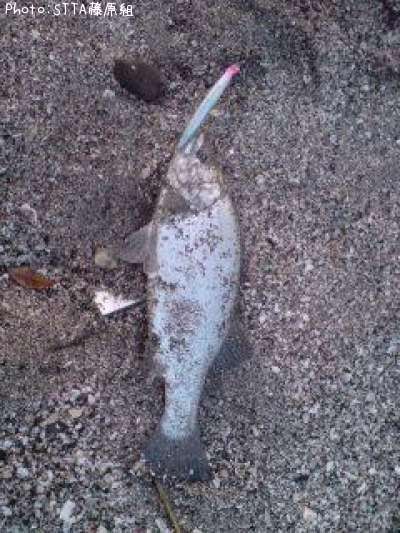 �ҥ饹����