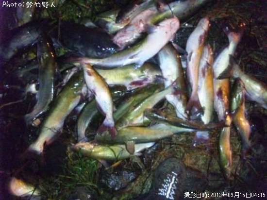 ����åȥե��å���