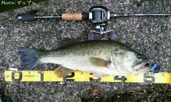 �֥�å��Х�