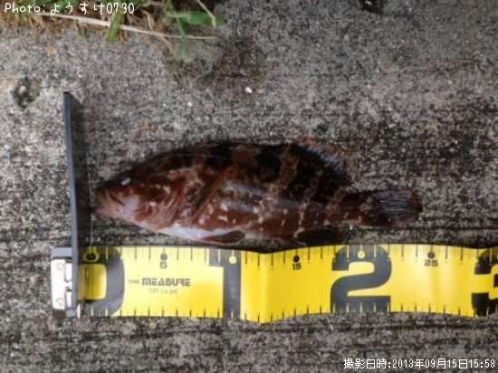 �����ϥ�