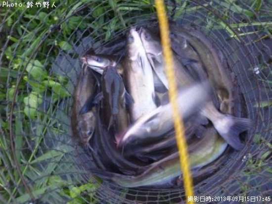 ����åȥե��å���