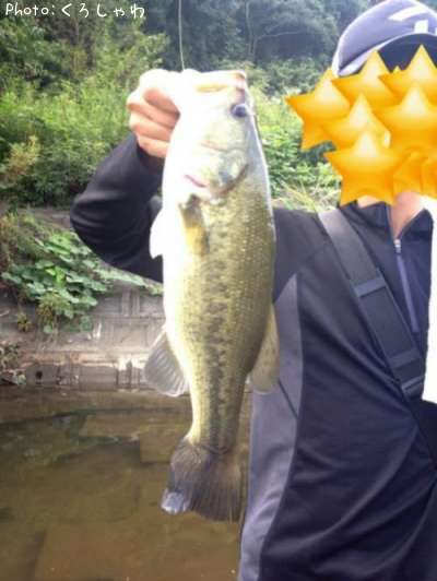 �֥�å��Х�