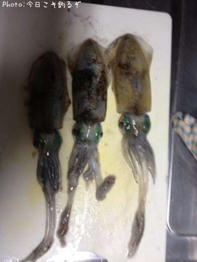 �����ꥤ��