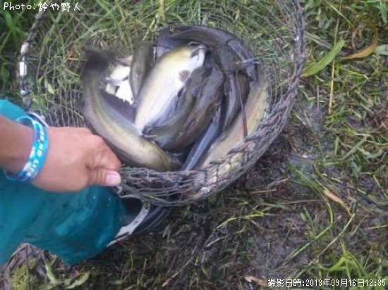 ����åȥե��å���