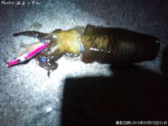 �����ꥤ��