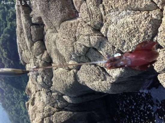 �����ꥤ��