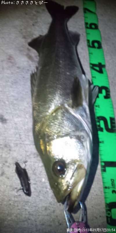 �����Х�