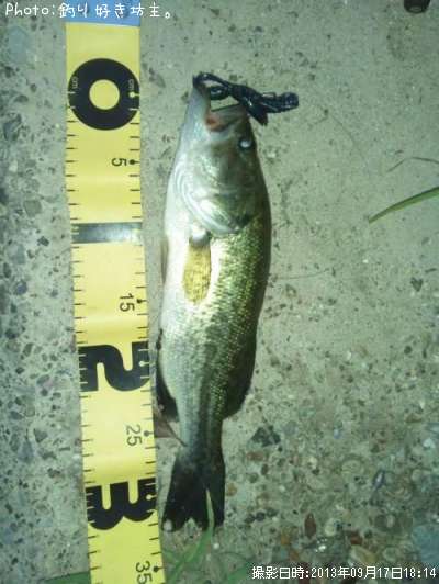 �֥�å��Х�