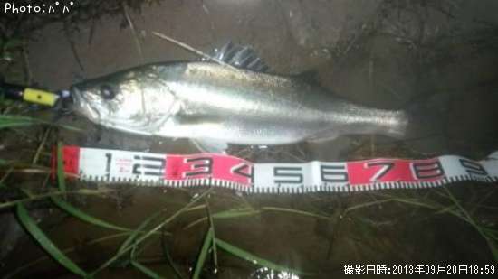 �����Х�