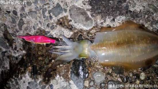 �����ꥤ��