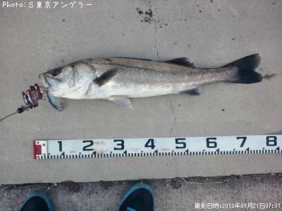 �����Х�