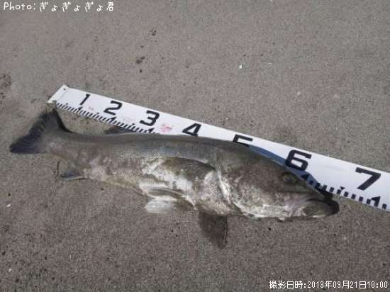 �����Х�