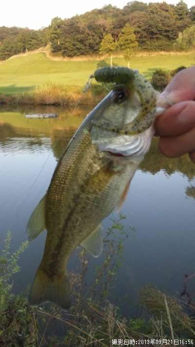 �֥�å��Х�