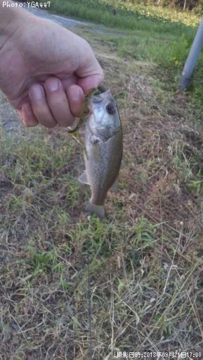 �֥�å��Х�