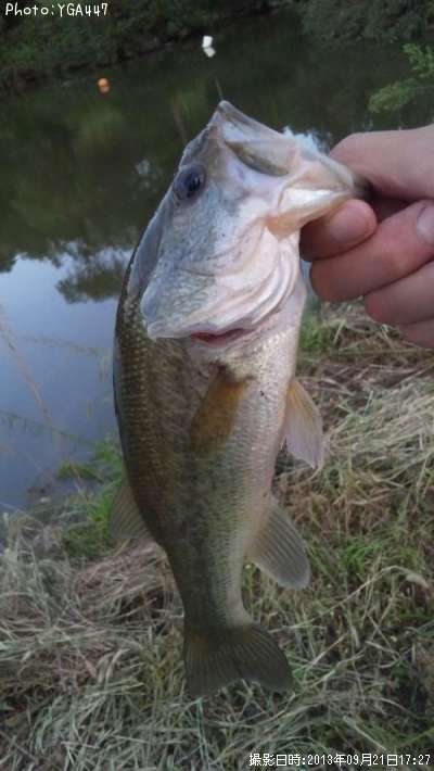 �֥�å��Х�