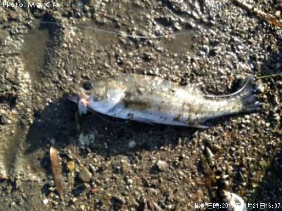 �����Х�