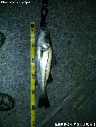 �����Х�