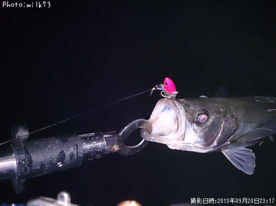 �����Х�