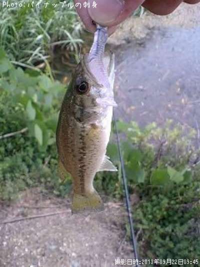 �֥�å��Х�