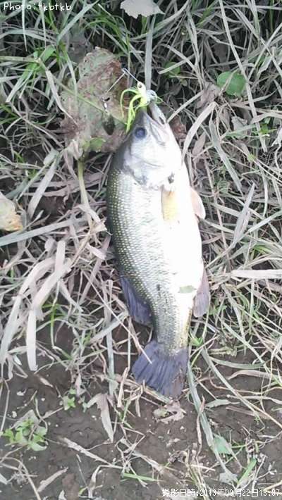 �֥�å��Х�