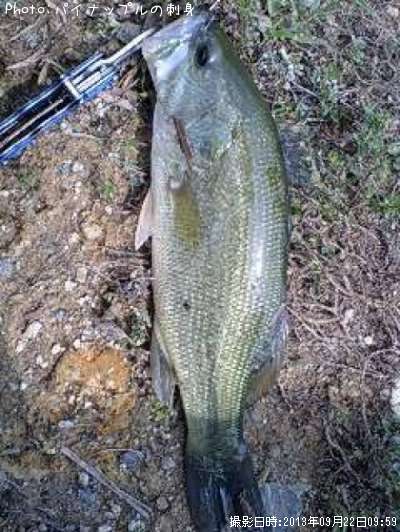 �֥�å��Х�