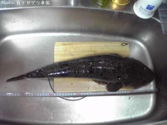 �ޥ���