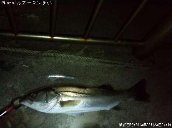 �����Х�