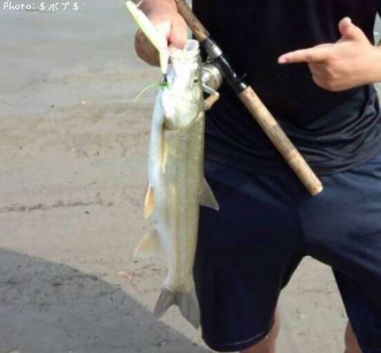 �ޥ륿������