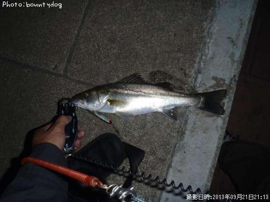 �����Х�