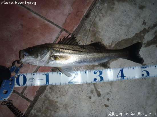 �����Х�