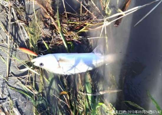 �����Х�