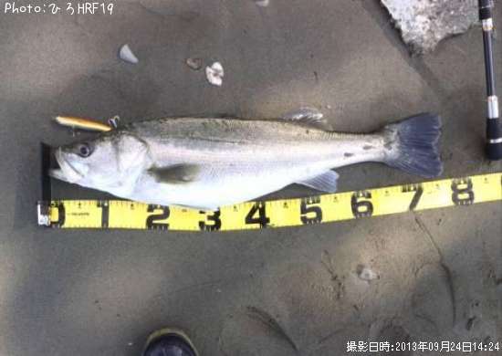 �����Х�