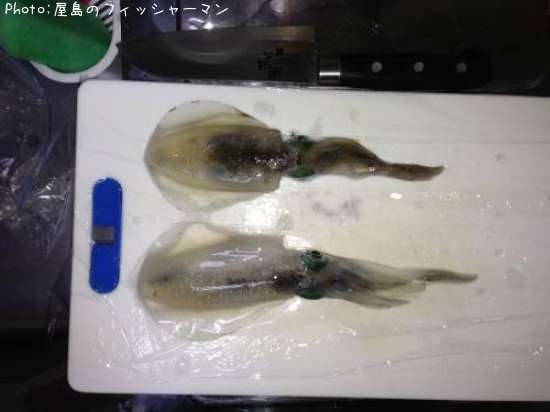 �����ꥤ��