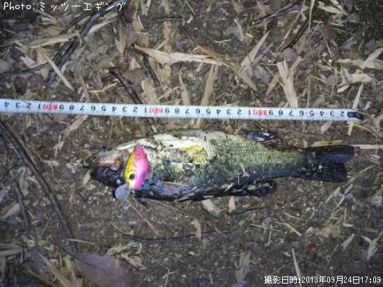 �֥�å��Х�