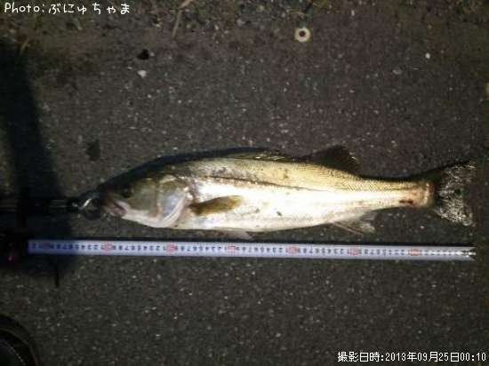 �����Х�