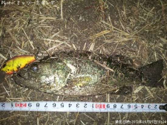 �֥�å��Х�