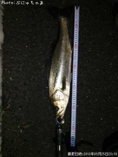 �����Х�