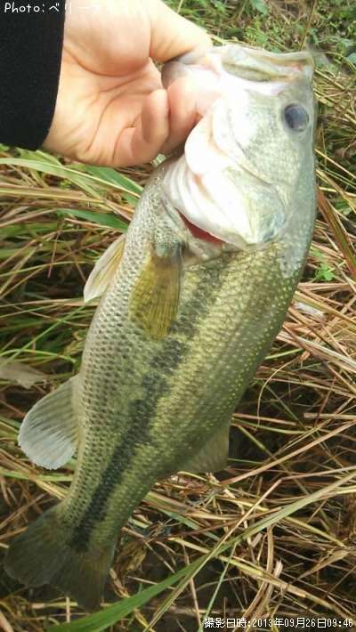 �顼���ޥ����Х�