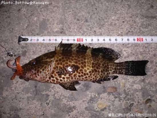 �������ϥ�