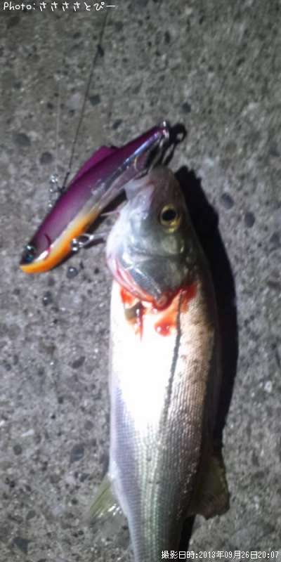 �����Х�