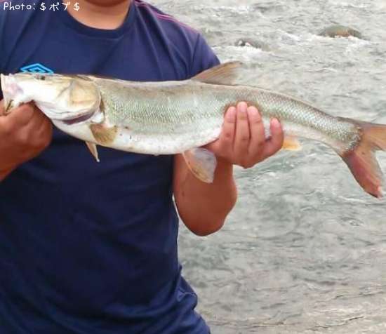 �ޥ륿������