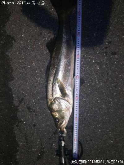 �����Х�