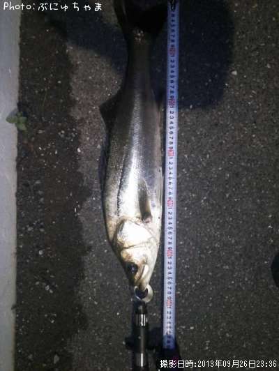 �����Х�