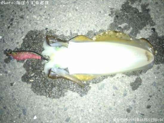 �����ꥤ��